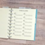 PXL_20220803_174200847-1024x1024